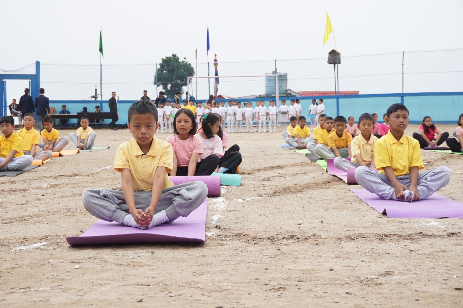 Yoga and Karate
